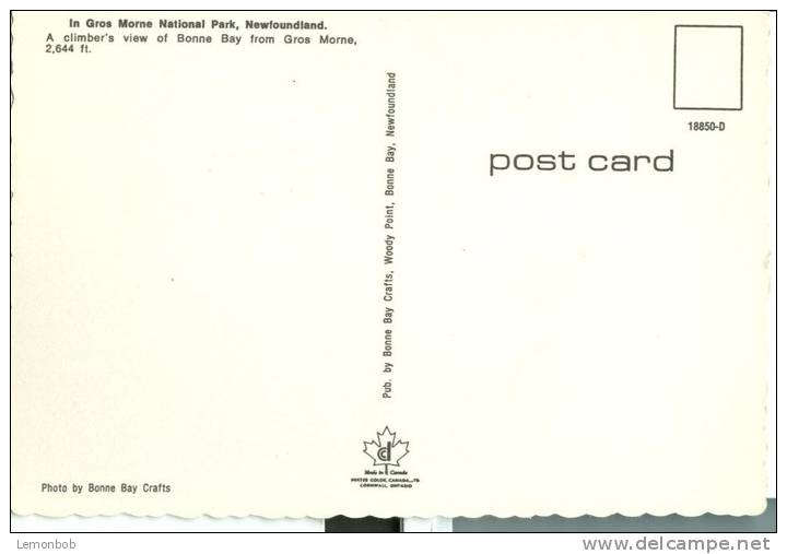 Canada – In Gros Morne National Park, Newfoundland, Unused Postcard [P4991] - Other & Unclassified