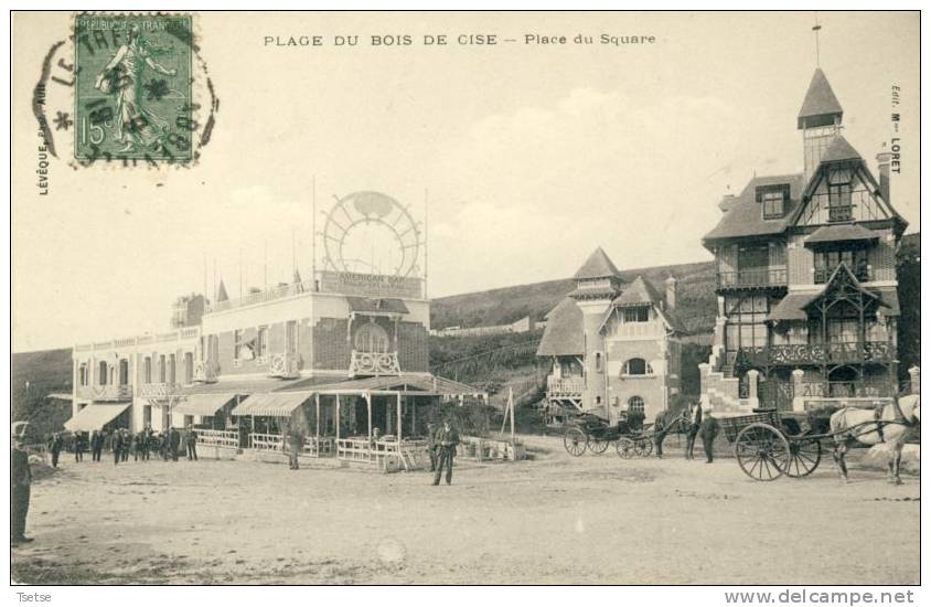 Bois-de-Cise - Place Du Square, Carte Animée, Attelage ( Voir Verso  ) - Bois-de-Cise