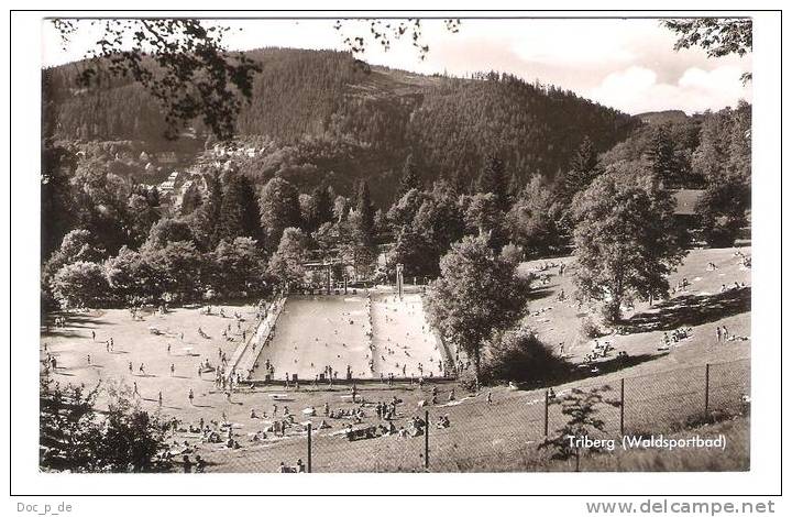 Deutschland - Triberg Im Schwarzwald - Waldsportbad - 1958 - Triberg