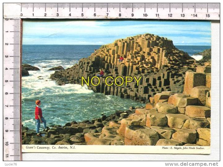 GIANT'S CAUSEWAY, CO.  ANTRIM - - Antrim