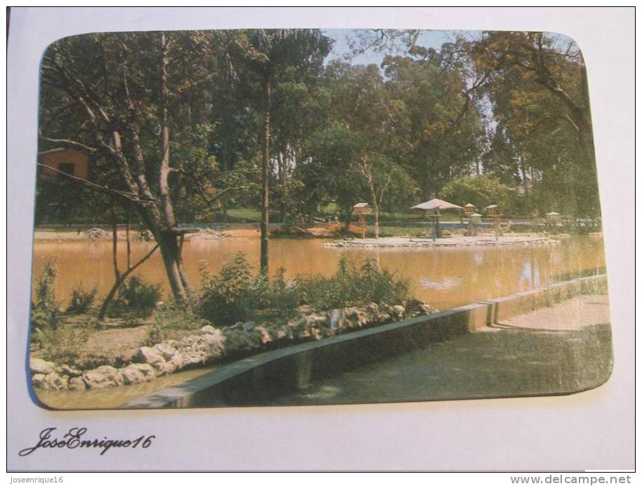 SOROCABA, PARQUE MUNICIPAL QUINZINHO DE BARROS, ZOOLOGICO E MUSEU HISTORICO. SAO PAULO, BRASIL N° 14 - São Paulo