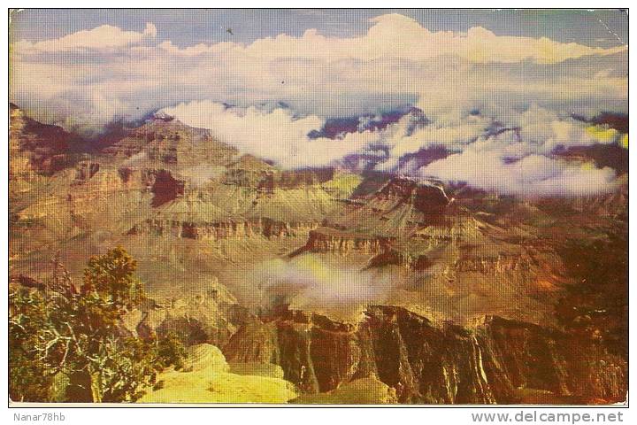 CPSM Grand Canyon - Grand Canyon