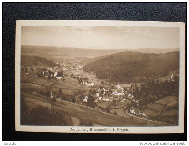 AK RECHENBERG BIENENMÜHLE Ca.1925    /  D*2088 - Rechenberg-Bienenmühle