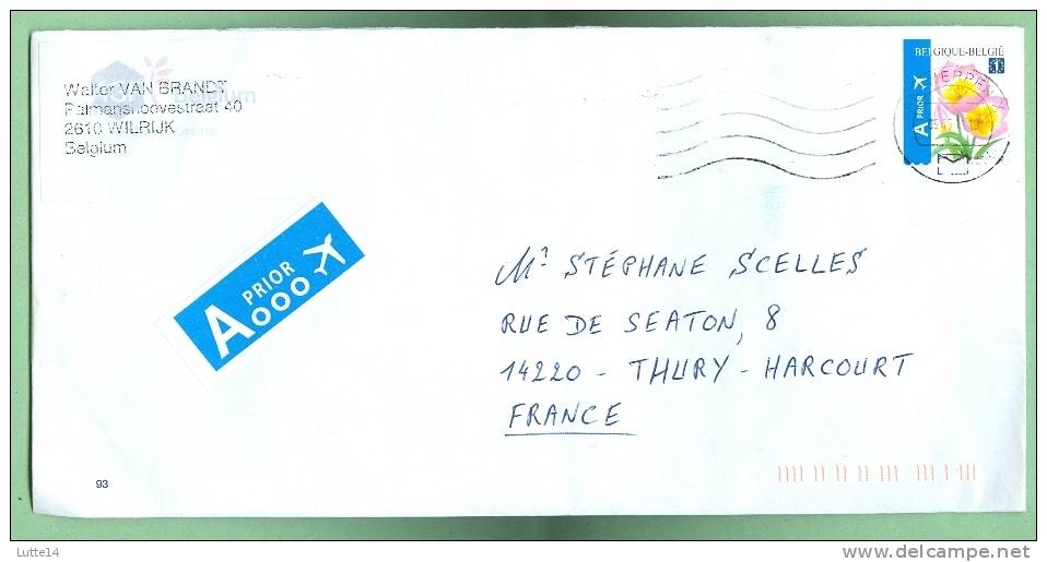 BELGIQUE  1 Timbre Sur Lettre Fleurs Tulipe - Cartas & Documentos