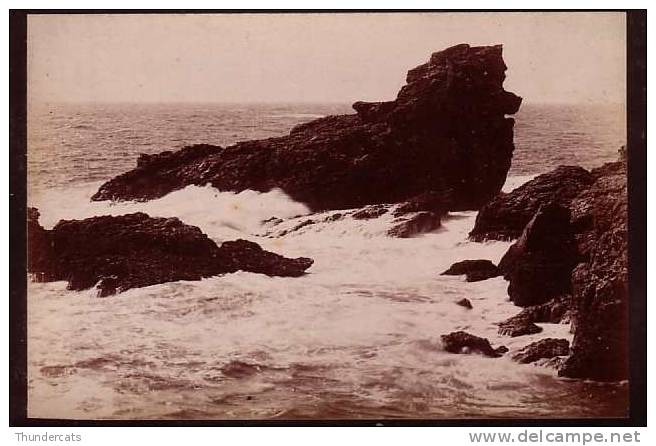 CABINET GRAND PHOTO ALBUMINE SUR CARTON **  VINTAGE ALBUMEN CABINET ** BELLE ISLE POINTE AUX POULAINS - Anciennes (Av. 1900)