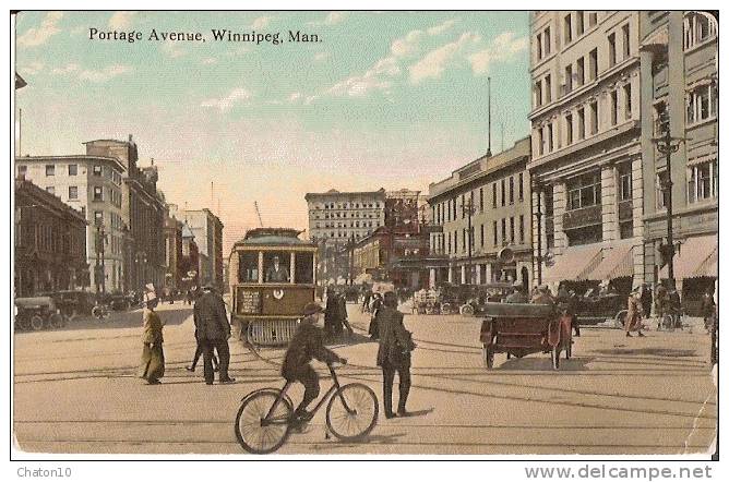 WINNIPEG - Portage Avenue, Winnipeg, Man.,  (Carte Couleur, Très Animée) - Winnipeg