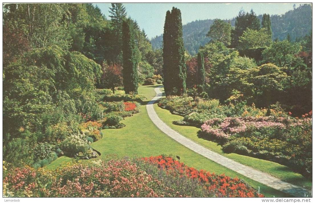 Canada – The Famous Sunken Gardens, Victoria, BC, Unused Postcard [P5028] - Victoria