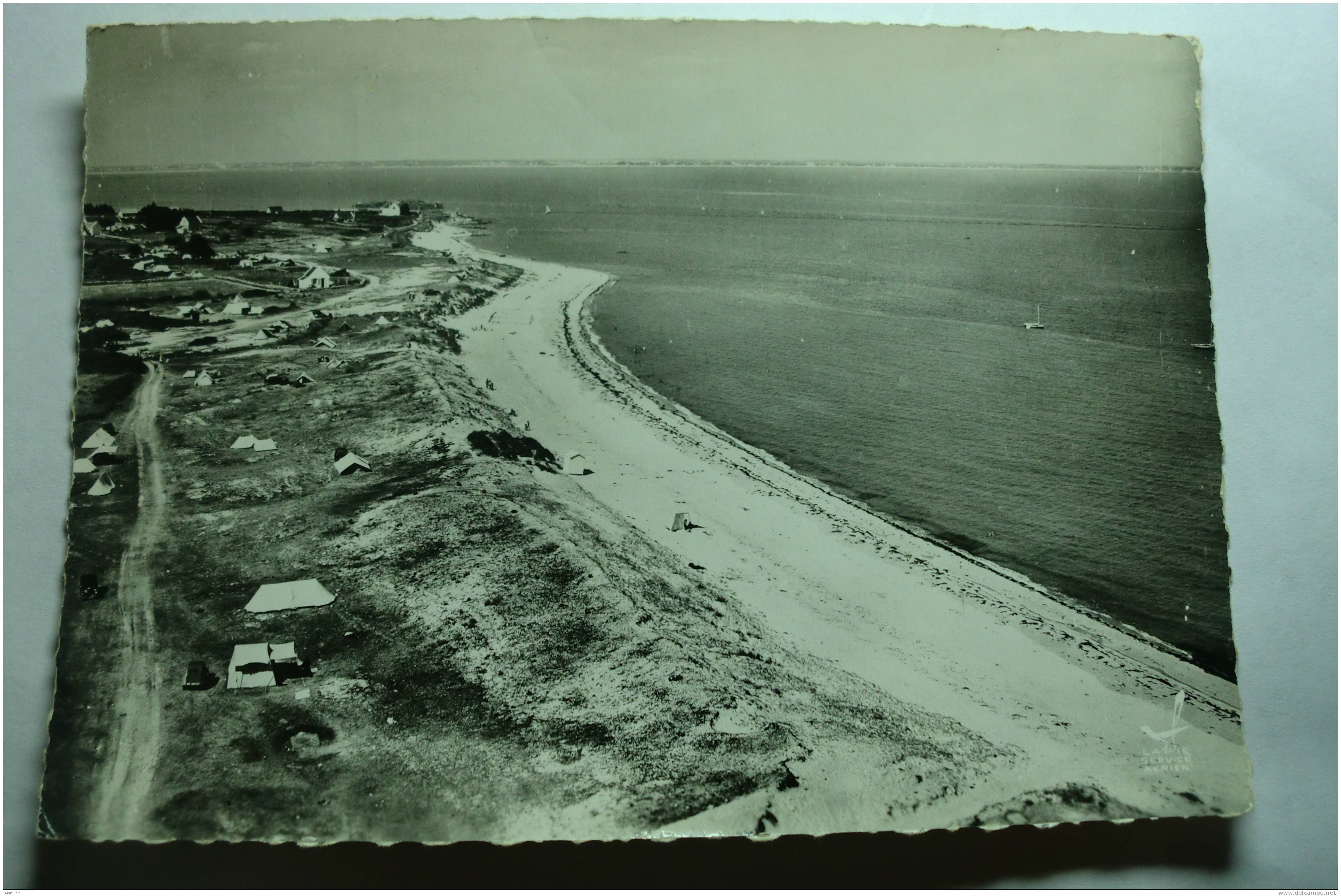 D 56 - Presqu'ile De Quiberon - Plage De Saint Julien - Quiberon