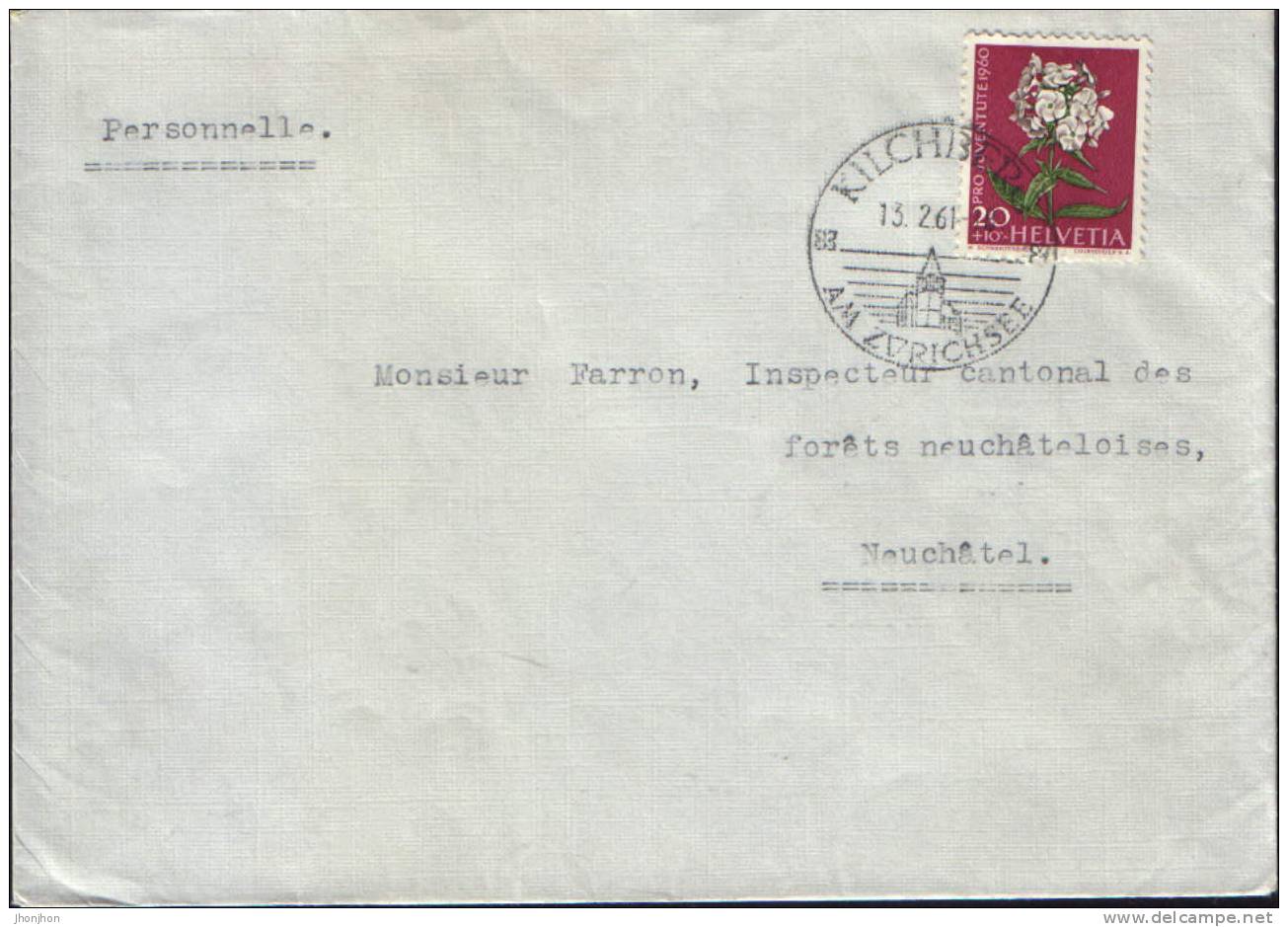 Suisse-Enveloppe Circulé En 1961 - Pro Juventute 1960 - Storia Postale