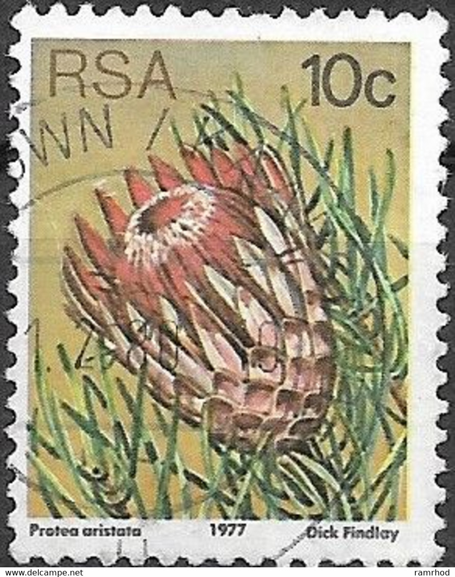 SOUTH AFRICA 1977 Succulents - 10c P Aristata  FU - Usati