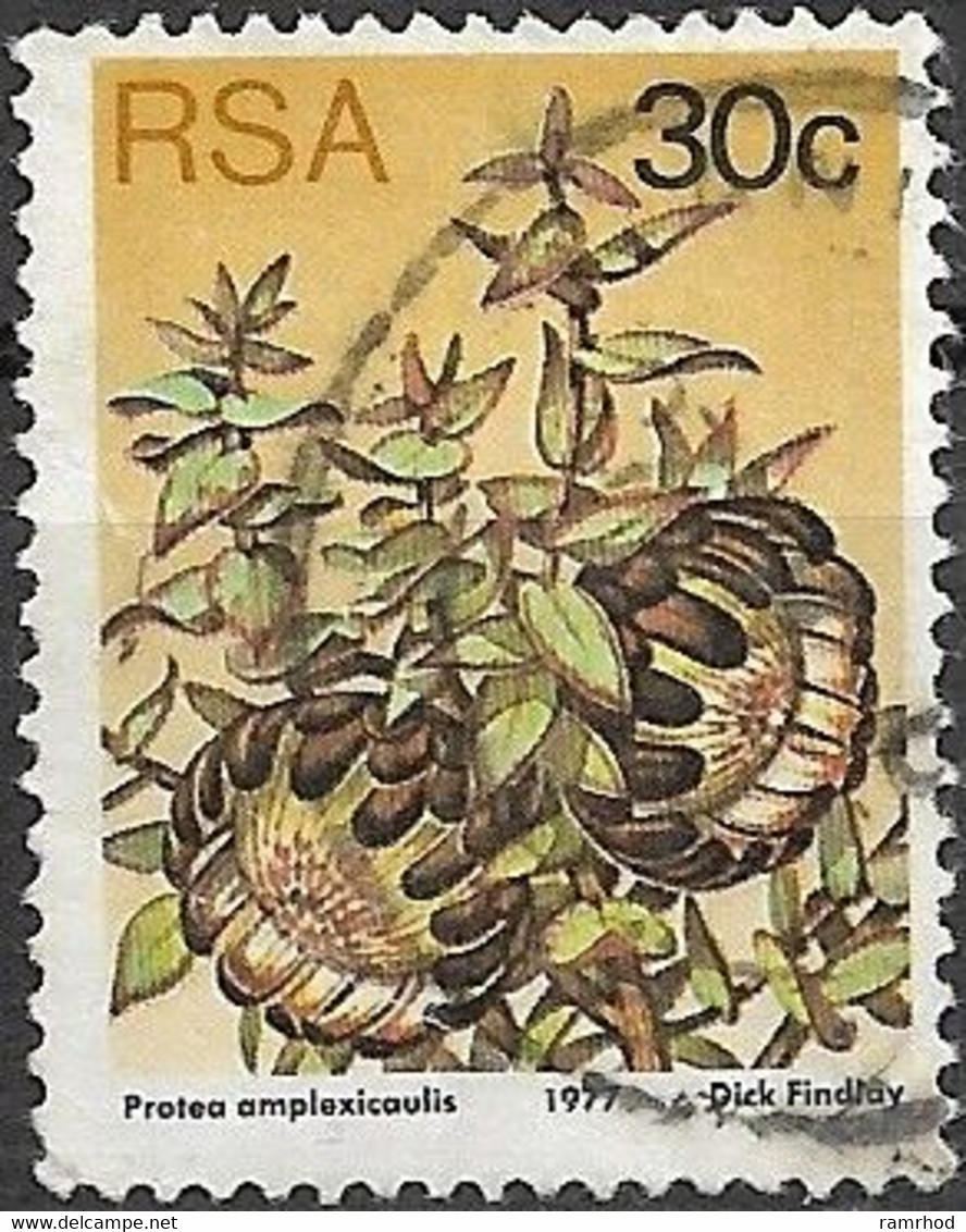 SOUTH AFRICA 1977 Succulents - 30c P Amplexicaulis  FU - Oblitérés