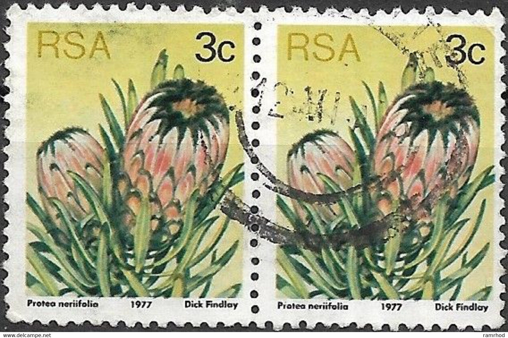 SOUTH AFRICA 1977 Succulents - 3c P Nerifolia  FU PAIR - Usati