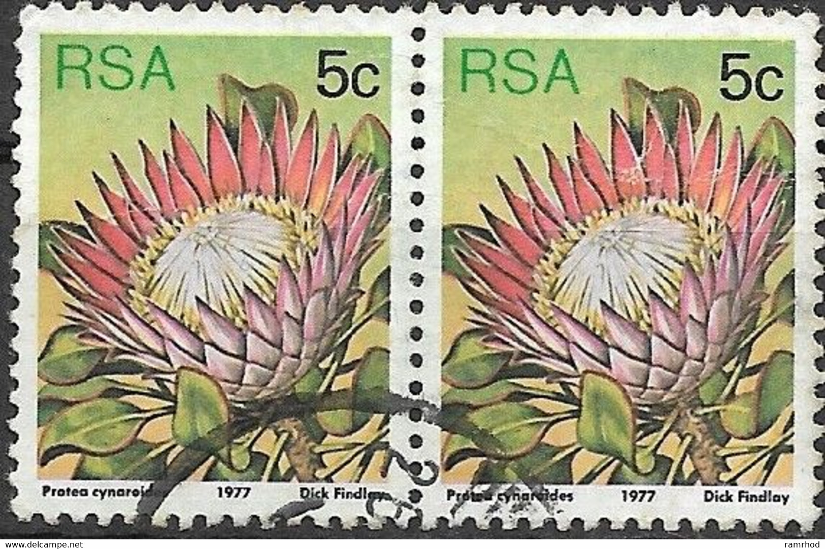 SOUTH AFRICA 1977 Succulents - 5c P Cymaroides  FU PAIR - Used Stamps