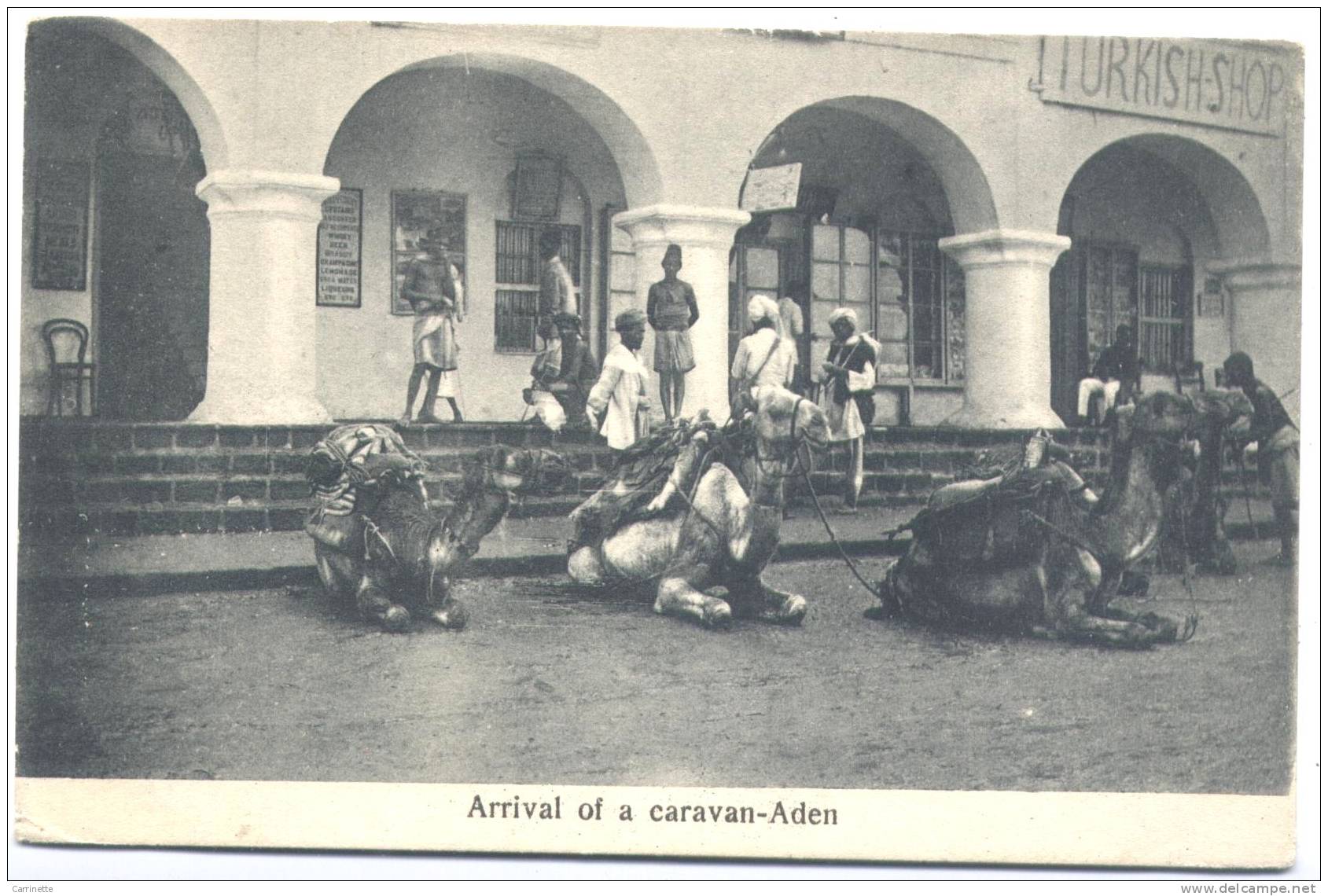 YEMEN - ADEN - Arrivée De La Caravane - Yemen