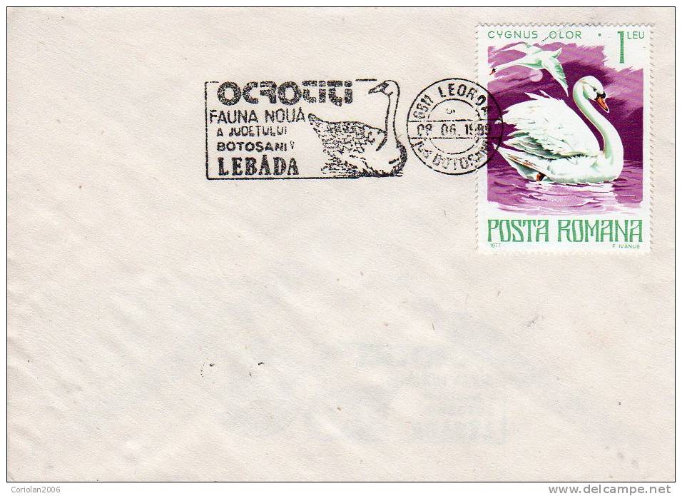 Romania / Cover With Special Cancellation / Protect Fauna - Swans - Cygnes