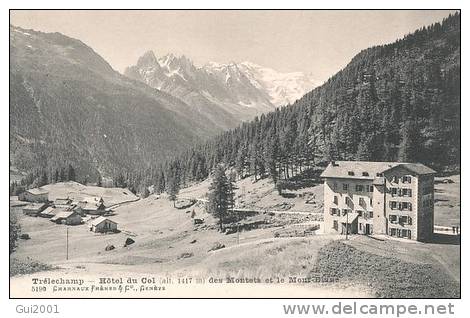 TRELECHAMP HOTEL DU COL - Cham