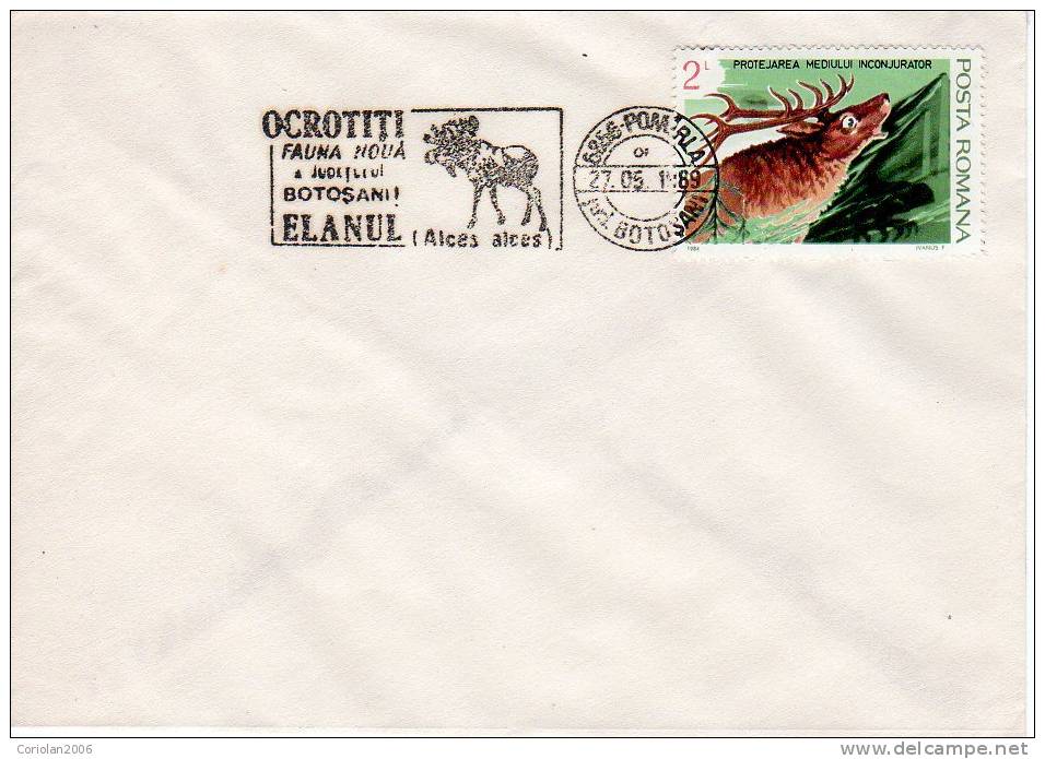 Romania / Cover With Special Cancellation / Protect Fauna - Moose - Kühe