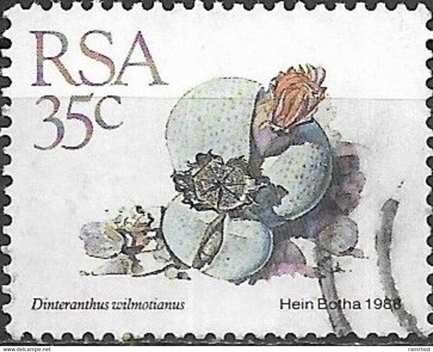 SOUTH AFRICA 1988 Succulents - 35c. - "Dinteranthus Wilmotianus" FU - Used Stamps