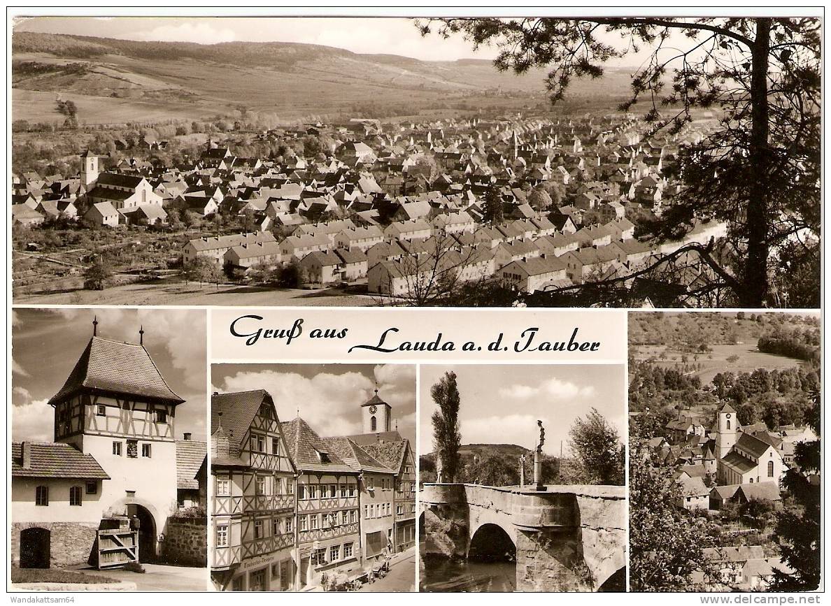 AK Gruß Aus Lauda A. D. Tauber Mehrbild 5 Bilder Totale Oberes Tor Pfarrstraße Alte Tauberbrücke Kath. Kirche 697 Weins - Tauberbischofsheim