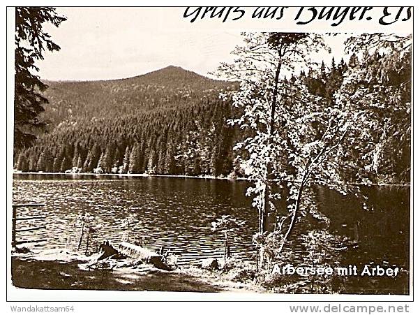 AK 1009 Gruß Aus Bayer. Eisenstein, Bayer. Wald Mehrbild DJH 4 Bilder Arber, 1457 M Totale Arbersee Mit Arber Jugendherb - Regen