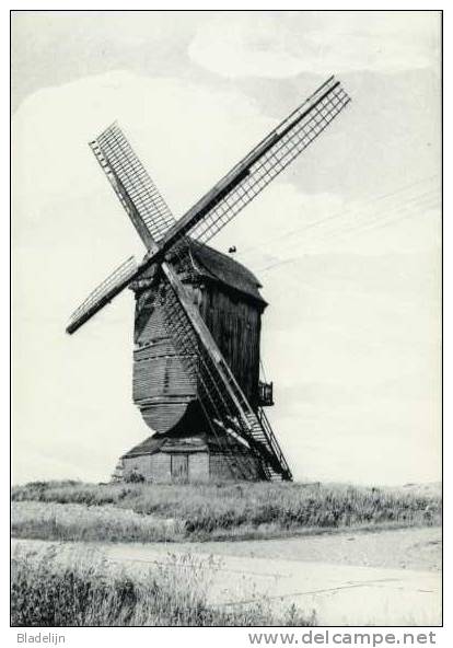 SCHAFFEN Bij Diest (Brabant) - Molen/moulin - Molen Van Het Dorp In Verval Op Zijn Vroegere Locatie, Vóór De Restauratie - Diest