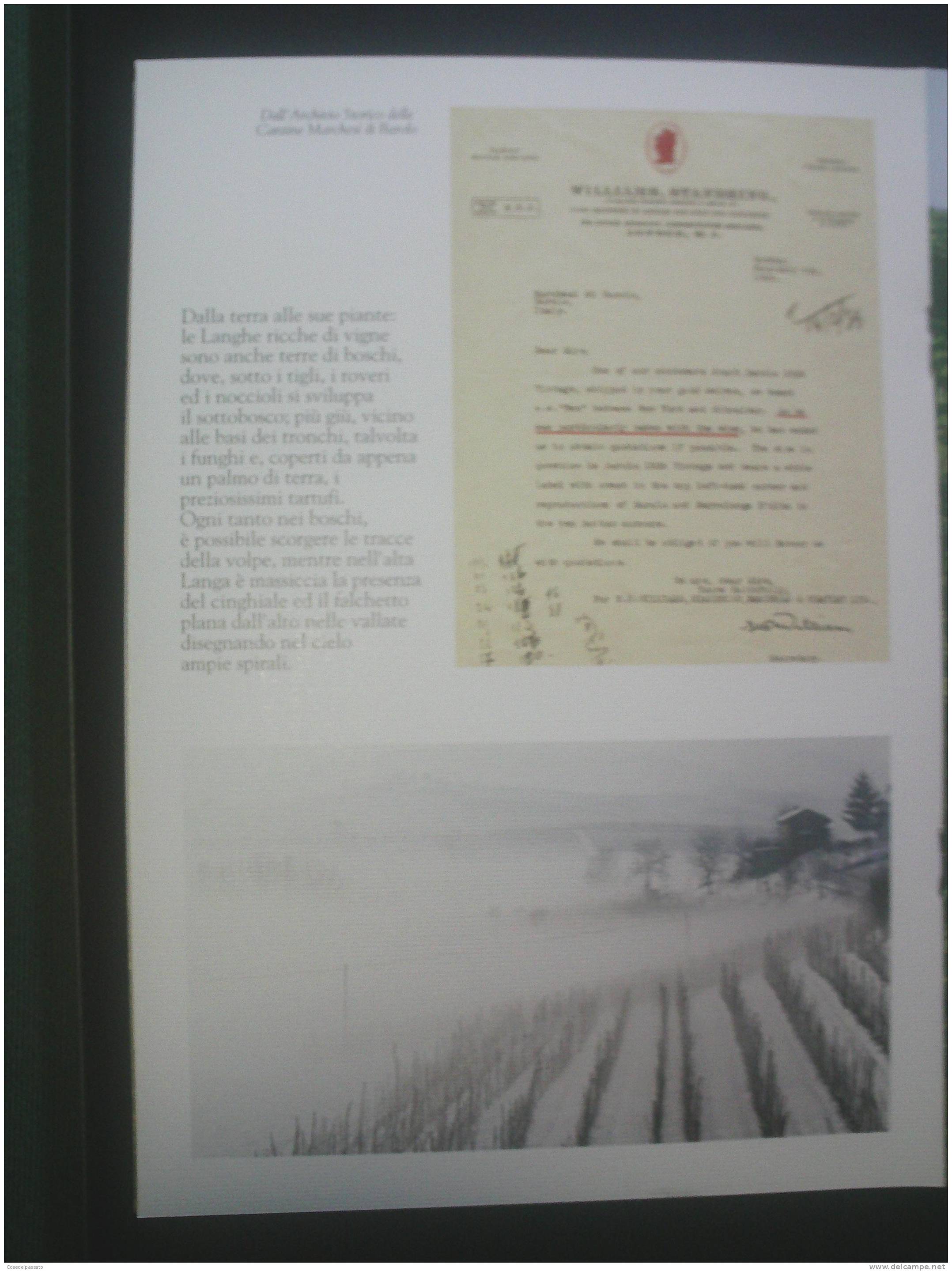 1xy -  libro guida- BAROLO vino e cultura (antiche cantine dei MARCHESI BAROLO gia opera pia barolo)