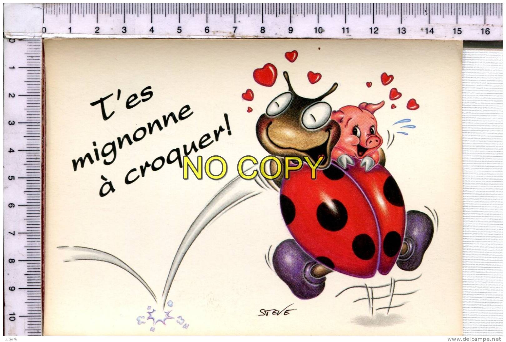 COCCINELLE  - BEETLES    -  Illustration  Humoristique -   T'es Mignonne à Croquer   ! - Insecten