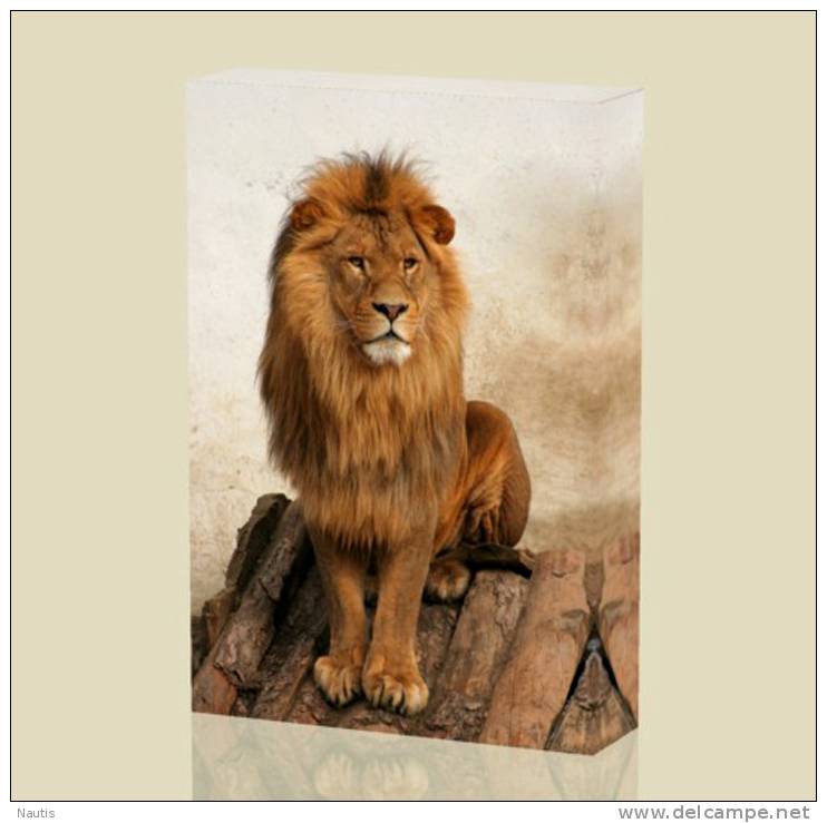 Canvas Art Print On Stretcher Bars, Animal, Tier, Lion, Leone - Prints & Engravings