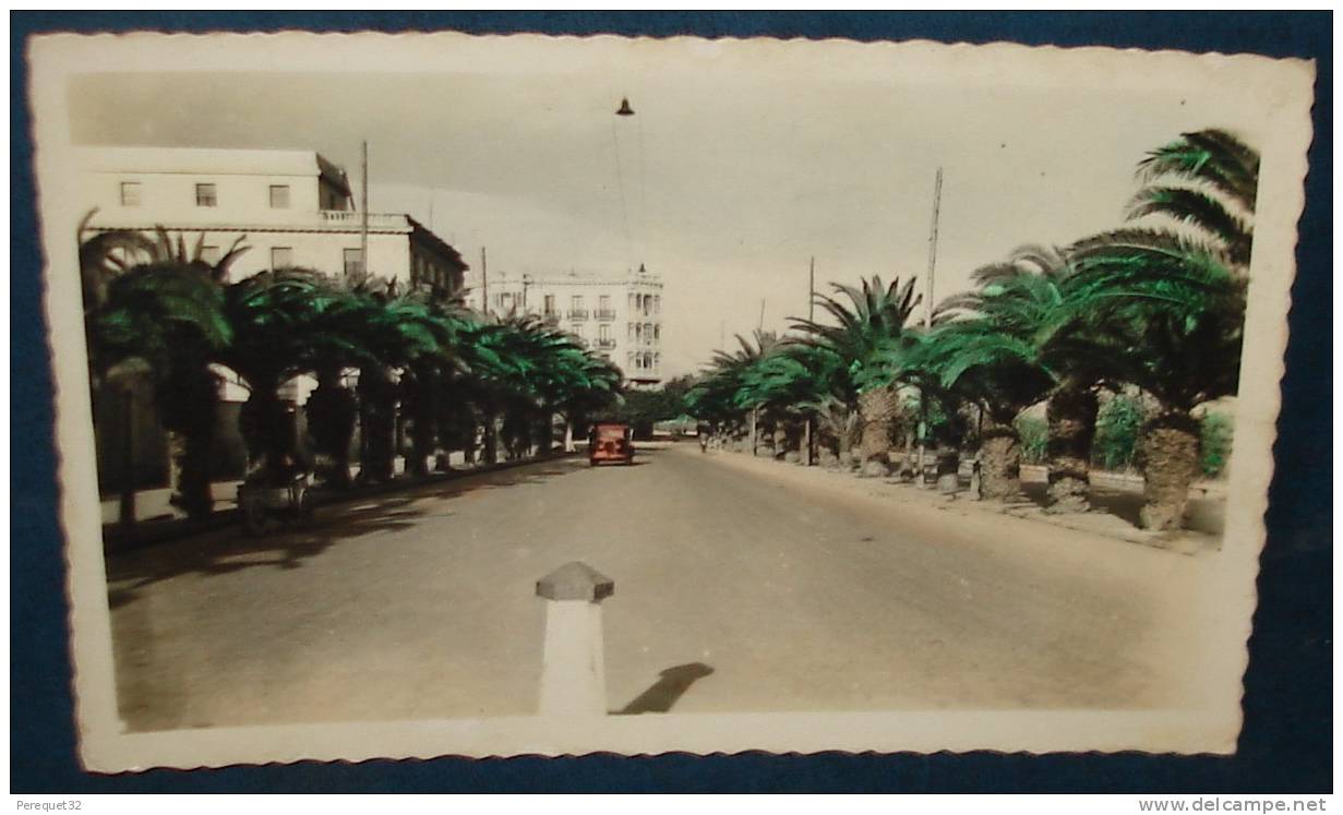 ALMERIA.Entrée Du Parc.Palmiers.Cpsm,neuve,be,vieille Voiture - Almería