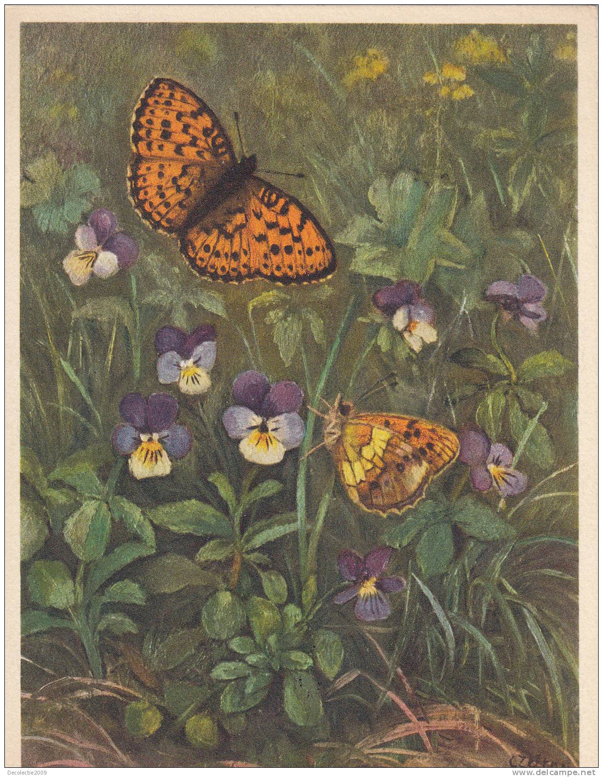 B27566 Papilons Fritillary Switzerland Not Used Perfect Shaped - Butterflies