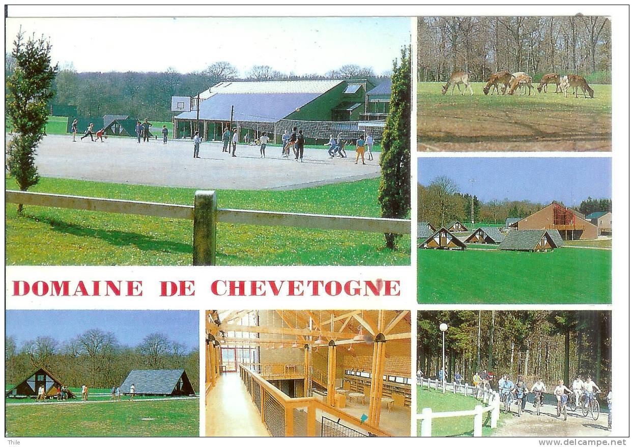 CHEVETOGNE - Domaine Provincial - Ciney