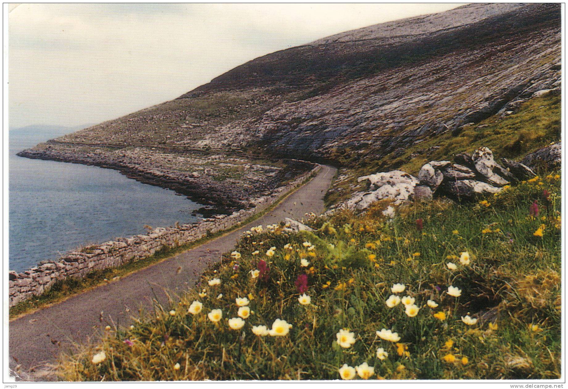 Ierland/Ireland/Éire, The Burren, 1993 - Clare