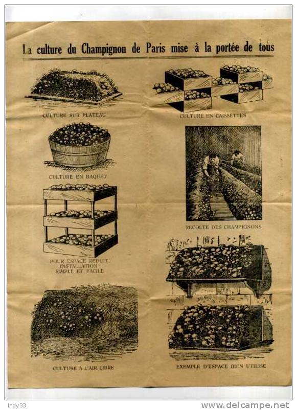 - LETTRE A ENTÊTE DE 1949 . ETABLISSEMENTS CULTUREX . CHAMPIGNONS DE COUCHE ANNEMASSE - Factures