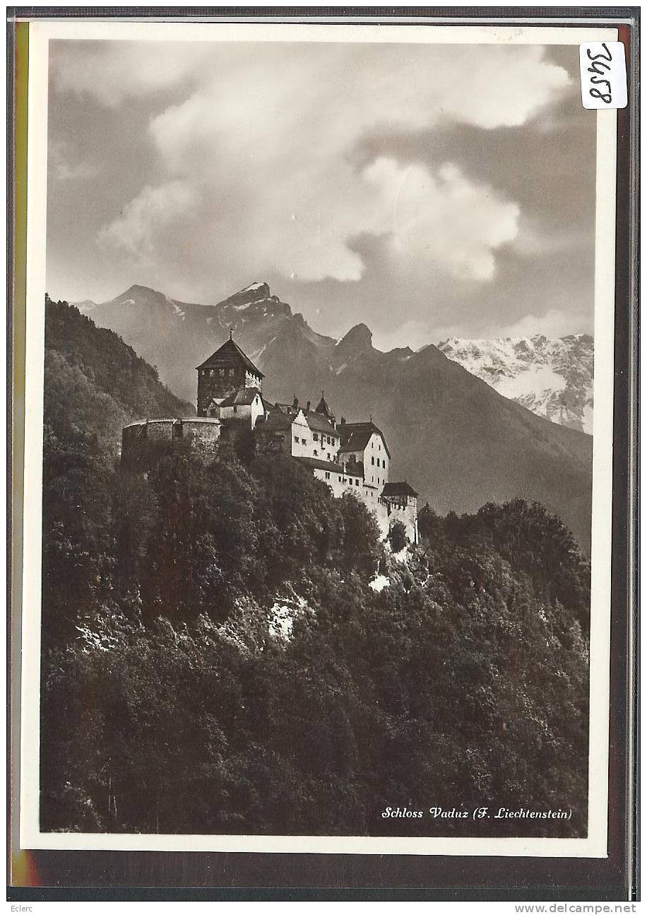 GRÖSSE 10x15 - FÜRSTENTUM LIECHTENSTEIN - SCHLOSS VADUZ - TB - Liechtenstein