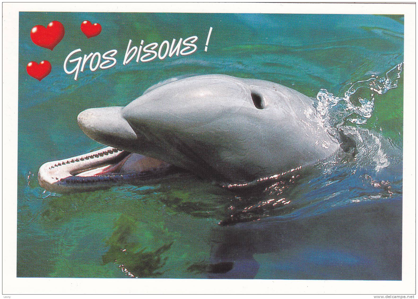 CPM " GROS BISOUS - DAUPHIN " - - Dauphins