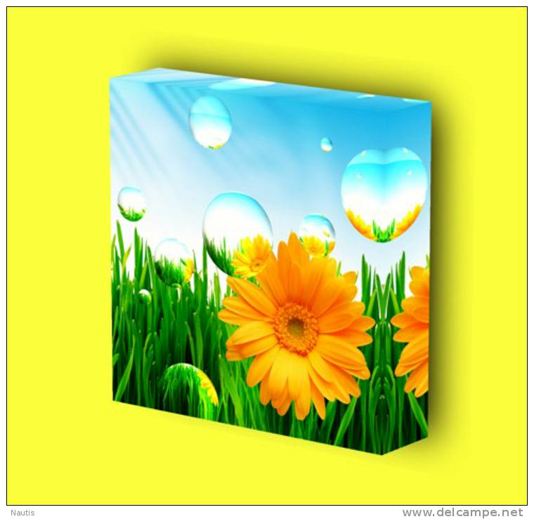 Canvas Art Print On Stretcher Bars, Meadow, Flower, Marguerite, Water Drop, Sun - Prints & Engravings