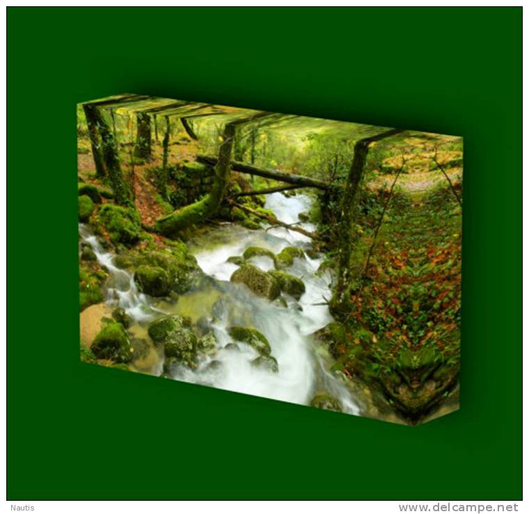 Canvas Art Print On Stretcher Bars, Forest, Runnel, Creek, Stones - Prints & Engravings