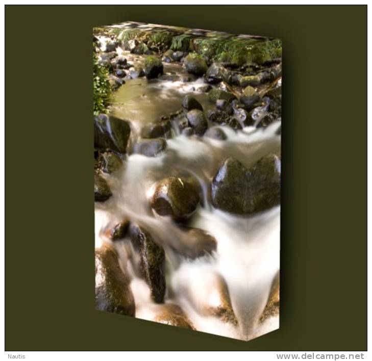 Canvas Art Print On Stretcher Bars, Forest, Water, Runnel, Stones - Prints & Engravings