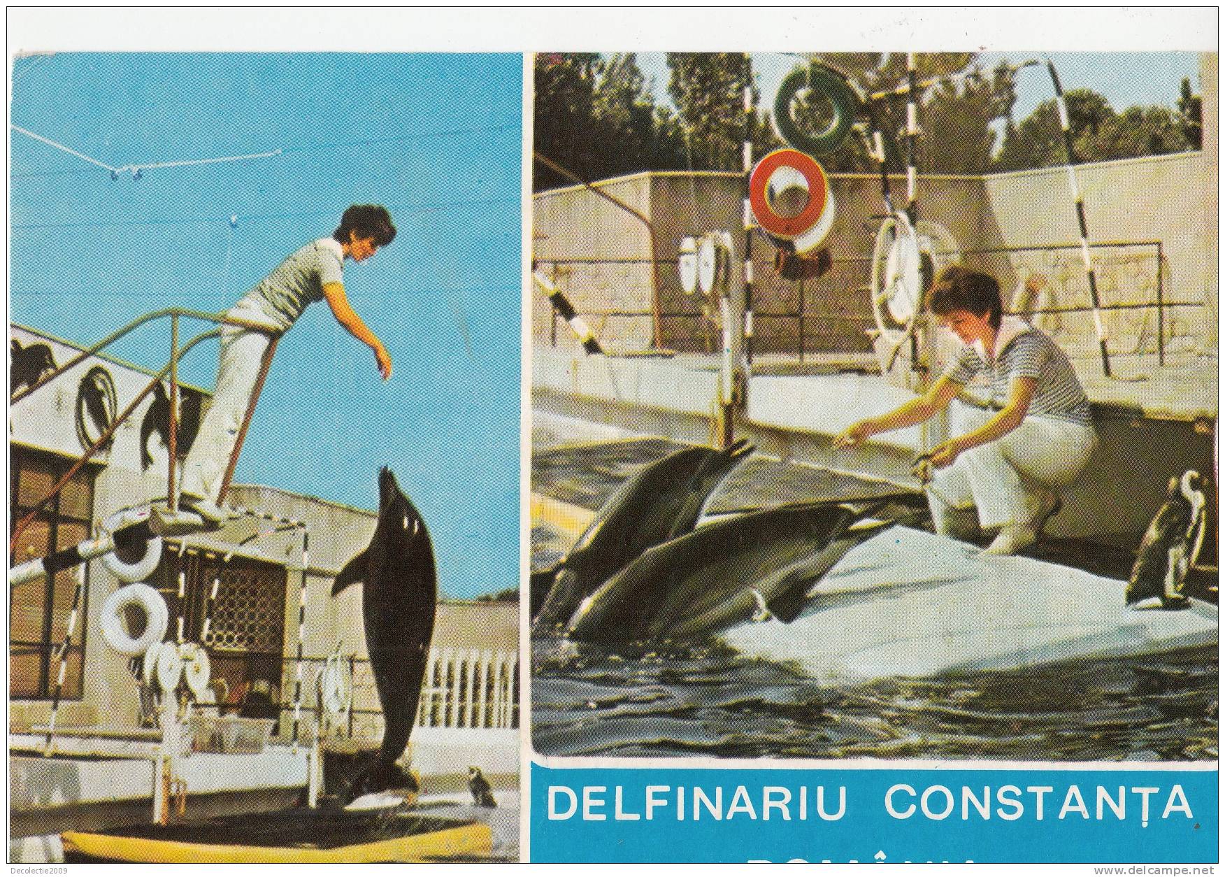 ZS5271 Animaux  DauphinsConstanta Romania Not  Used  Perfect Shaped - Dolphins