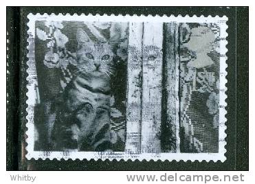 Great Britain 2001 1st Cat In Window Issue #1959 - Non Classés