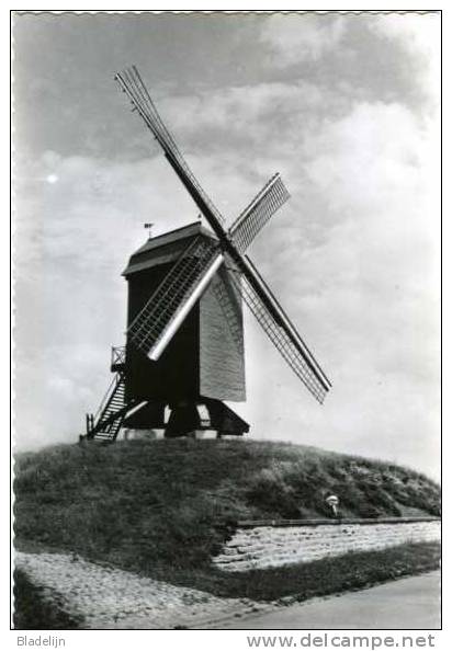 HERZELE (O.Vl.) - Molen/moulin - Standaardmolen Te Rullegem, Kort Na De Restauratie Van 1966. Prachtige Opname! - Herzele