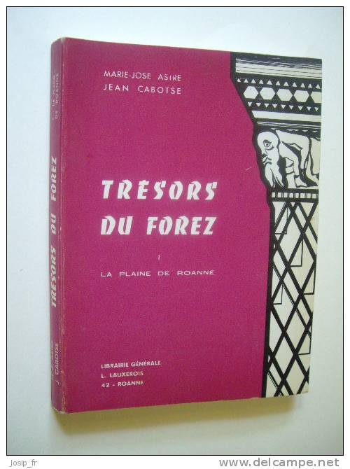 TRéSORS Du FOREZ: Plaine De ROANNE (Asire-Cabotse 1970) - Rhône-Alpes