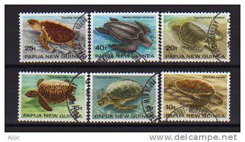 PAPOUASIE.  Tortues De Mer. 6 T-p Oblit. Yv.# 466/71. Serie Complète - Schildpadden