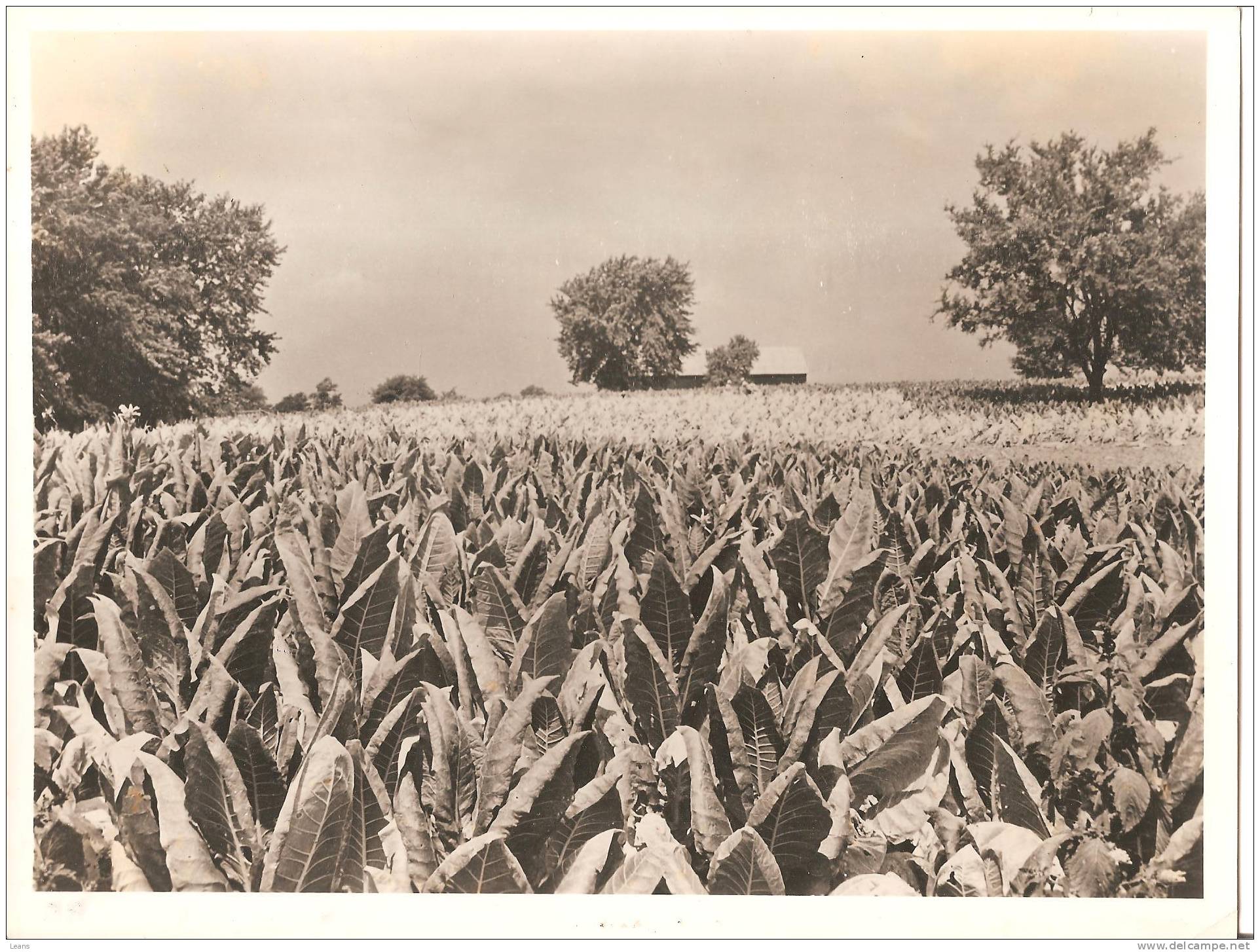 LOT DE 8 PHOTOGRAPHIES ORIGINALES DE PLUSIEURS ENDROITS DES ETATS UNIS