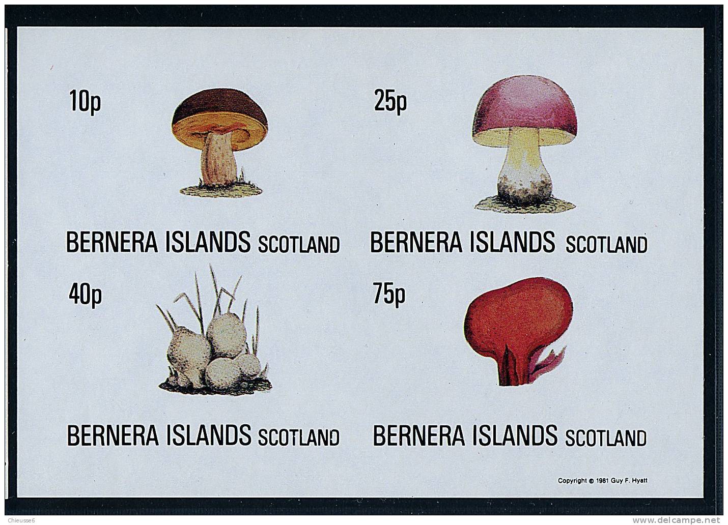 Bernera ** Série 1981 ND - Champignons (lot 2) (20 P41) - Etichette Di Fantasia