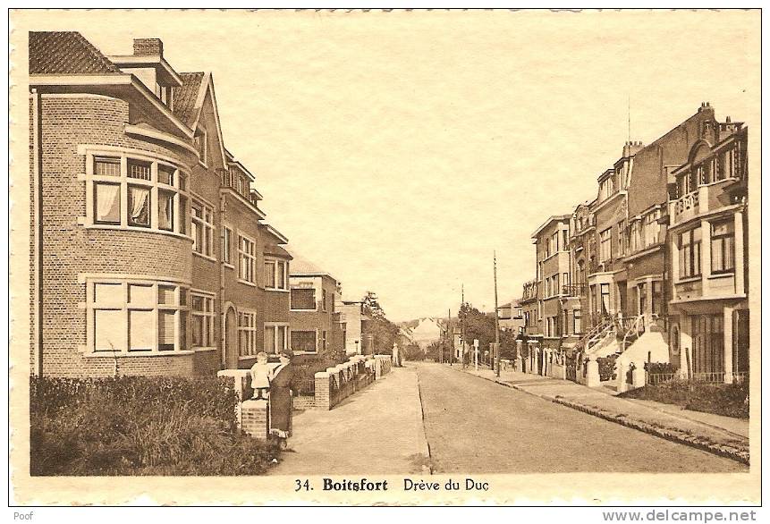 Boitsfort : Drève Du Duc - Watermael-Boitsfort - Watermaal-Bosvoorde