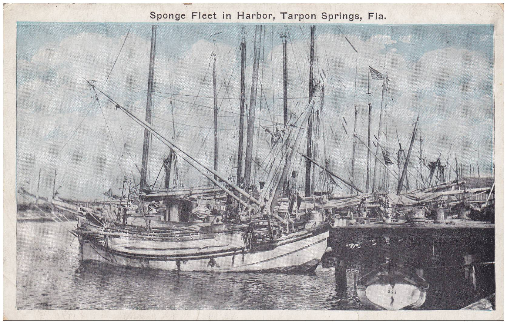 Sponge Fleet In Harbor , Tarpon Springs , Florida , 00-10s - Other & Unclassified