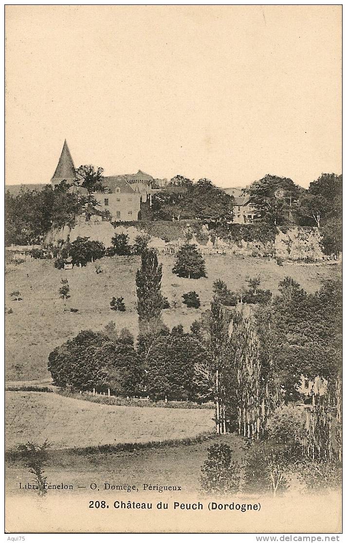 Château Du Peuch     (près Plazac Et Fleurac) - Andere & Zonder Classificatie