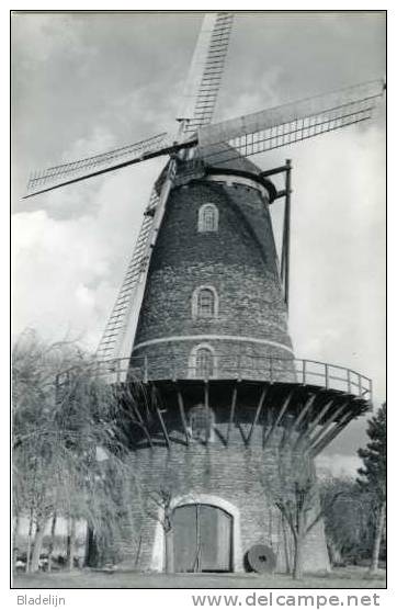 SINT-PAUWELS (O.Vl.) - Molen/moulin - De Roomansmolen, Vóór De Restauratie Met Verdekkerde Wieken (1989). Mooie Close-up - Sint-Gillis-Waas