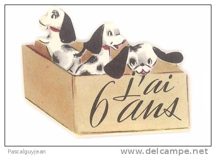 DECOUPI DALMATIENS DANS UNE BOITE - J'AI 6 ANS - Animales